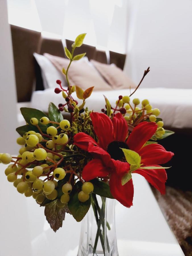 New W Hotel Тирана Экстерьер фото